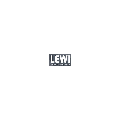 LEWI