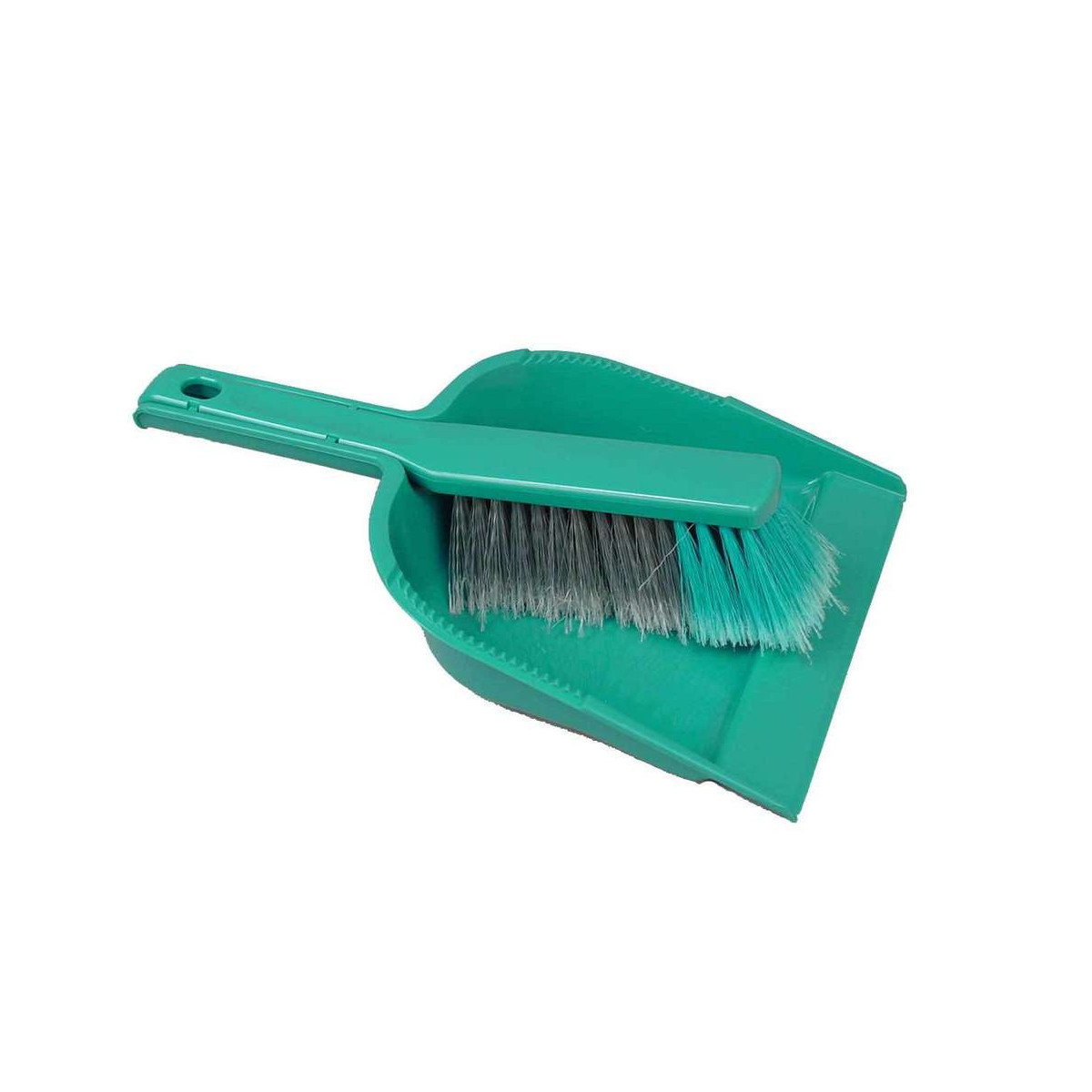 SET BROSSE A MAIN COCO ET PELLE A POUSSIERE