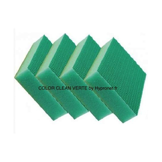 COLOR CLEAN - Eponge HACCP - surface alimentaire