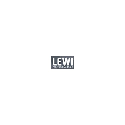 logo LEWI