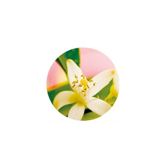 GEL Destructeur d'odeurs JEDOR Suprem Neutral 250GR GEL Destructeur d'odeurs JEDOR Suprem Neutral 250GR