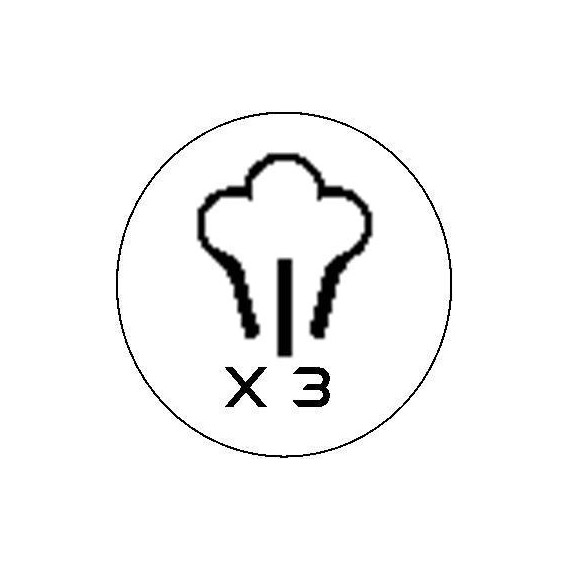 Nettoyeur vapeur avec aspiration LIBRA