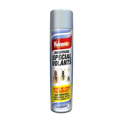 AEROSOL SPECIAL VOLANT 600ML