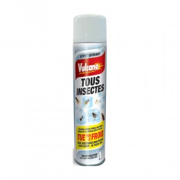 AEROSOL TSI EFFET GIVRANT 500ML Vulcano