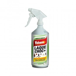 Laque insecticide rampants et volants 1L