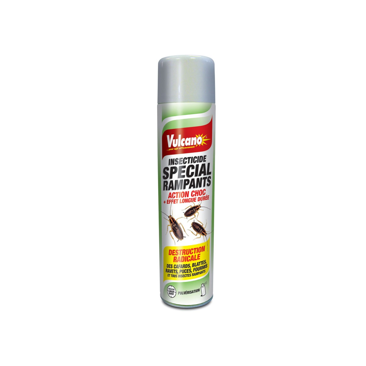 Aérosol Insectes Rampants Terre de Diatomée 400ML