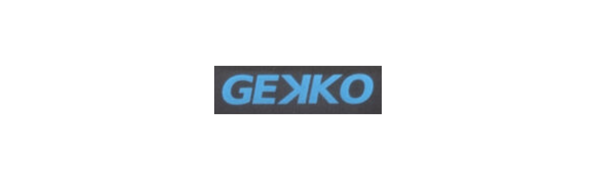 GEKKO support Pad de lavage a plat Moerman pour vitre - Hypronet