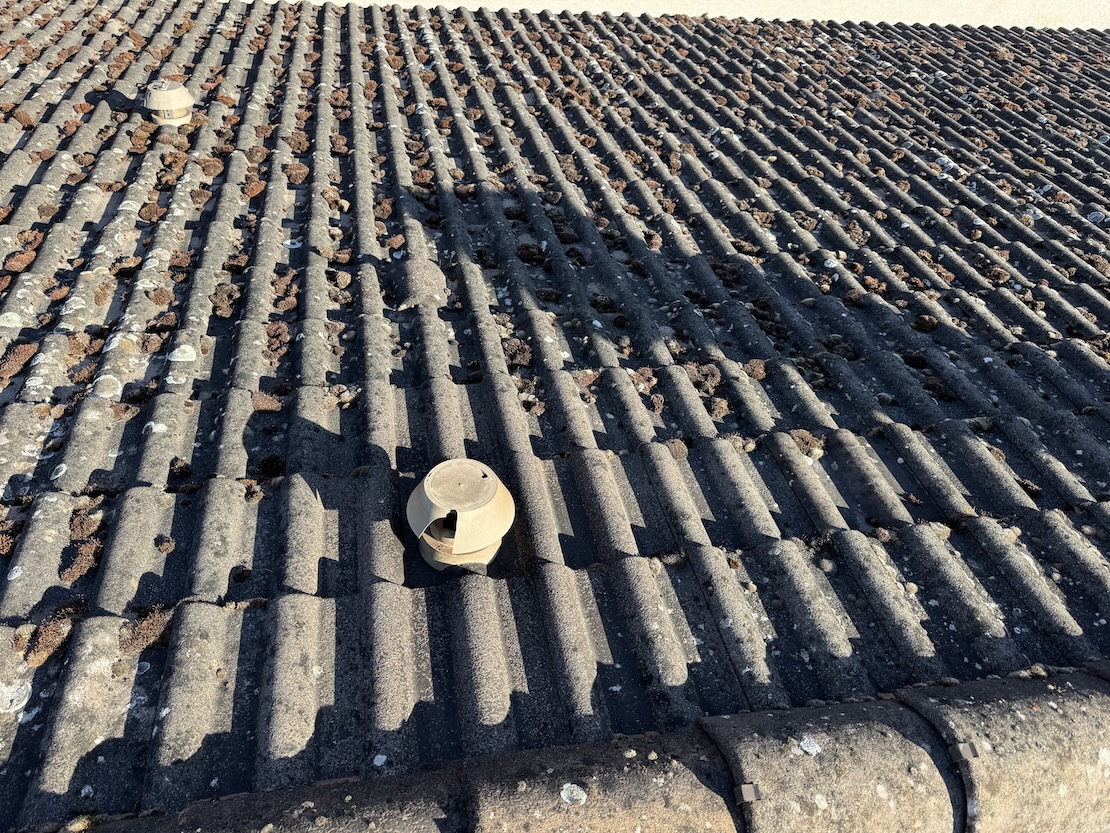 KEMNET Anti lichen 30