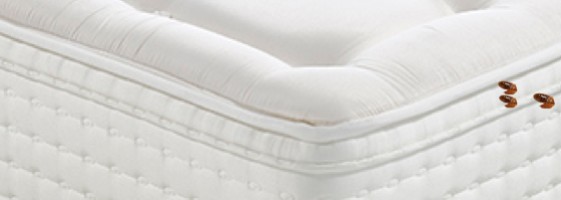 Punaises de lit avoir les bons réflexes