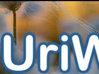URIWAVE Grilles, Clips et Gels désodorisants